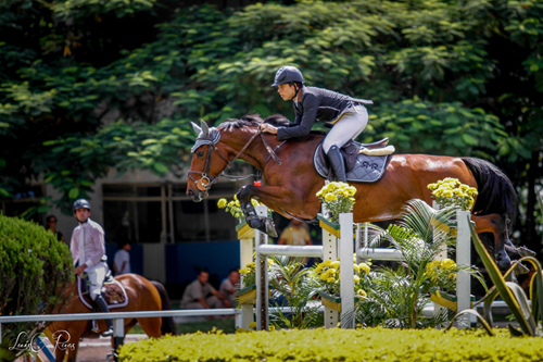 Hipismo brasileiro se prepara para o 27º Torneio de Verão