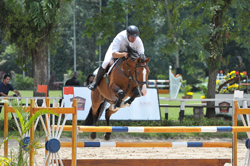 Circuito CBH de Cavalos Novos larga no CHSA