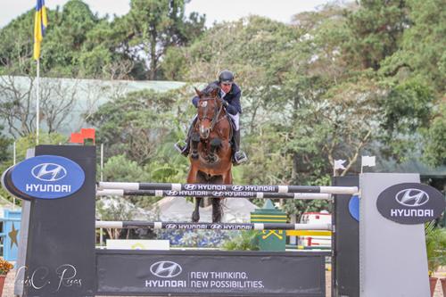 Elite do hipismo larga no Paulista de Seniores e Cavalos Novos em Santo Amaro