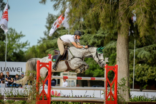 100% dos Cavalos do Brasil são aprovados na inspeção do Americano da Juventude