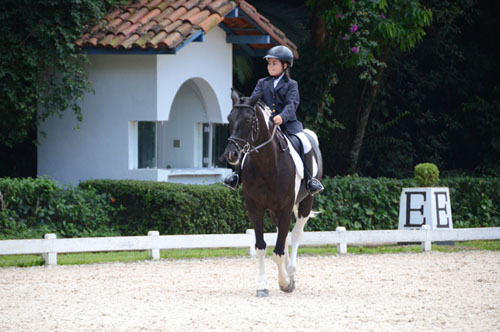 I Open Dressage fecha com sucesso e novidades na premiação