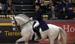 Jovem talento João Victor Oliva na FEI World Cup Dressage Final