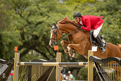 Zé Roberto larga com tudo no Winter Equestrian Festival