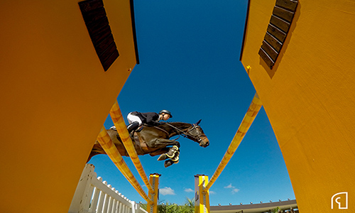 Philip Greenless: campeão da seletiva olímpica da Juventude e FEI Jumping Challenge