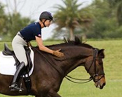 Sábado, 17/6, 17h: palestra sobre o trabalho de plano do cavalo com Natacha Waddell