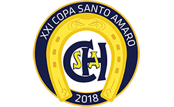 Os campeões da Copa Santo Amaro de Salto 2018