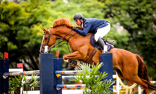 Zé Roberto é campeão brasileiro Senior Top 2019 e agora tetra