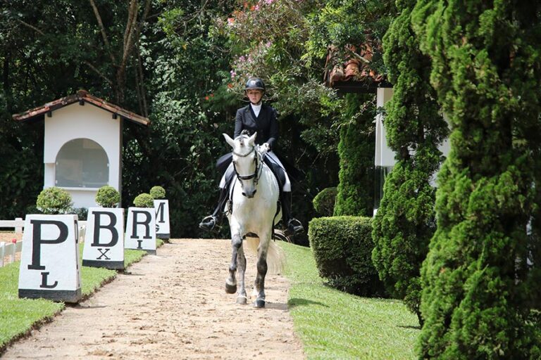 25/2 | 1ª Etapa 2ª Copa CHSA Orlando Facada de Adestramento – Resultados