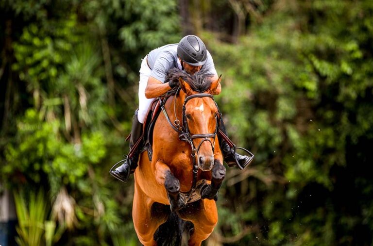 21 a 24/9 | Placar Taça Paulistão de Cavalos Novos