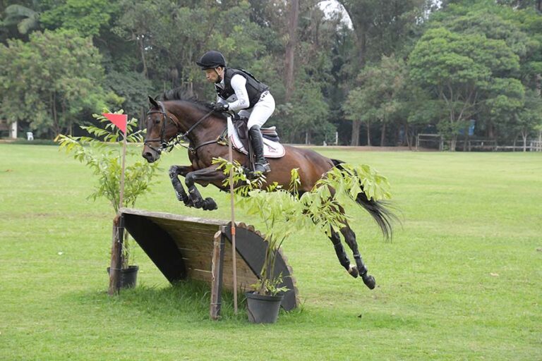 26 a 28/11 | Resultados, Programas Internacional, Jogos Equestres Paulista, Copa Sto Amaro Concurso Completo