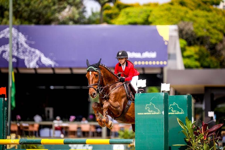 2 a 5/12 | Placar e Transmissão ao Vivo Jogos Equestres Paulistas Salto Iniciante – Final Taça Paulista – Jovem Cavaleiro B e Mini-mrim