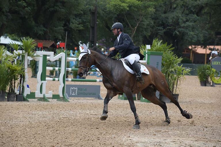 16 a 20/2 | Acompanhe a 2ª Etapa do Torneio de Verão 2022: Ordens de Entrada e Resultados